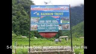 Agritourism: Gandaki Rainbow Trout Farm in the Spotlight.
