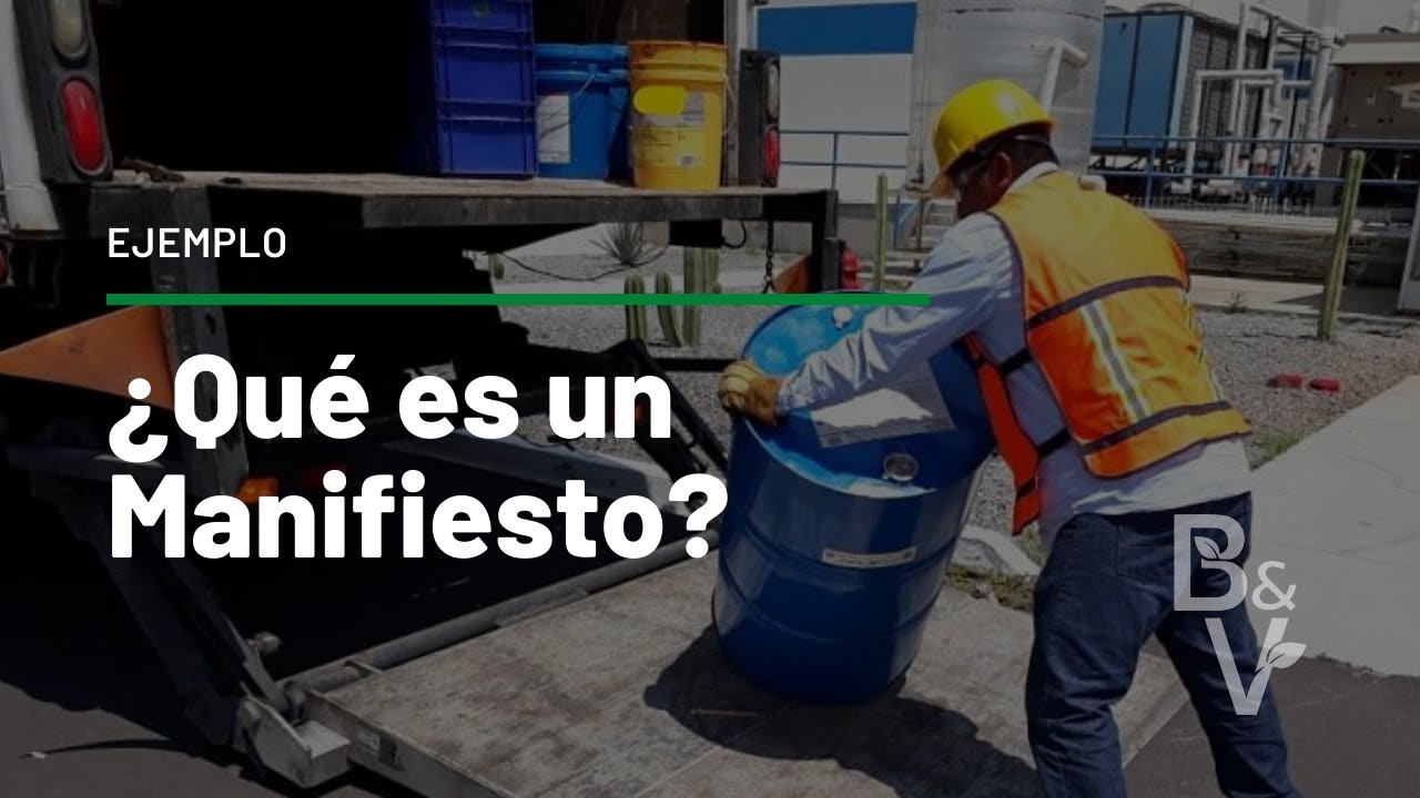 ¿QUÉ ES UN MANIFIESTO?