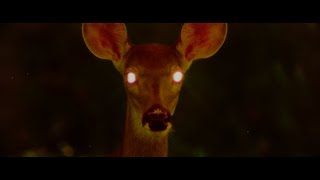 Avalon Emerson - Sandrail Silhouette (Official Video)