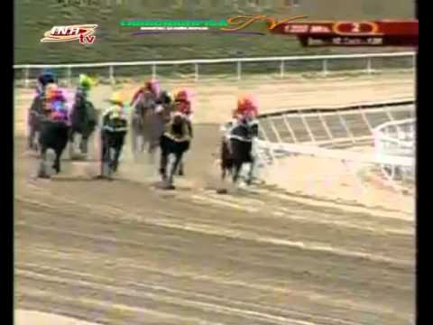 LA RINCONADA 2 CARRERA DOMINGO 15 DE FEBRERO DEL 2015