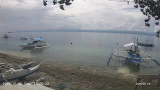 Junedive Front Beach, Moalboal, Cebu 모알보알 바다상황 실시간영상 live webcam