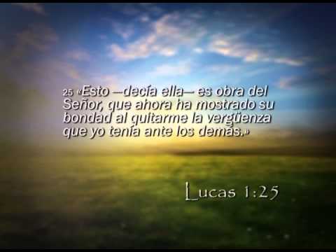 Reavivados por su Palabra - 16/12/2014 - Lucas 1