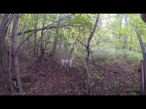 Wisconsin 2021 Upland Grouse Hunting Day 2