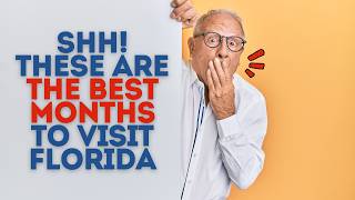 What's The Best Time to Visit Florida 🌴 A Month by Month Guide
