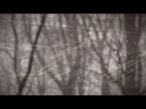 Reconstruct - "Collapse" feat. Garret Rapp (The Color Morale) Official Lyric Video