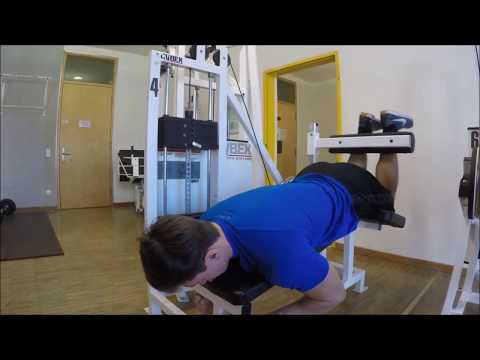 Lehrvideo Fitnessübungen - HTL1 Lastenstraße