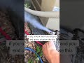Hvac Technicians Covers Tips And Tricks Of Hooking Up Refrigerant Guages