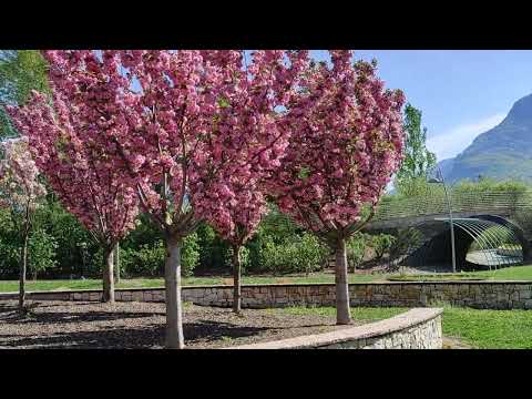 park in melta gardolo trento italy amazing day