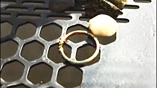 Legend 2 Strikes Pandora Ring!