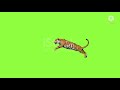 Green Screen Tiger