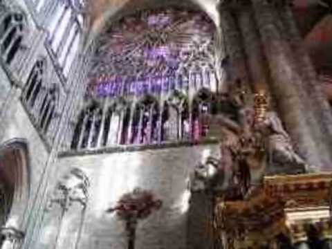 Katedry_Robert Janowski.wmv