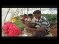 Exclusive agricultural program - Paadi Pantalu ...