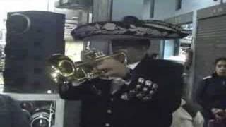 LA BIKINA - MARIACHI NUEVO JALISCO - TROMPETA, VIHUELA, GUITARRON - TELF. 5681512