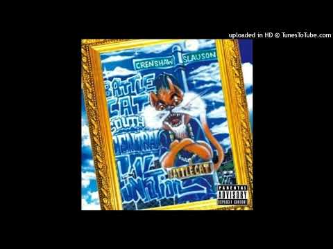 DJ Battlecat - Let It Fly (feat. WC & Mad CJ Mac)