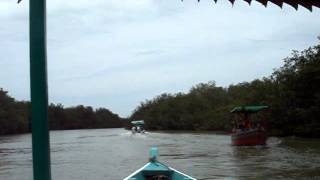 preview picture of video 'PASEO A LOS MANGLARES DE TUMBES'