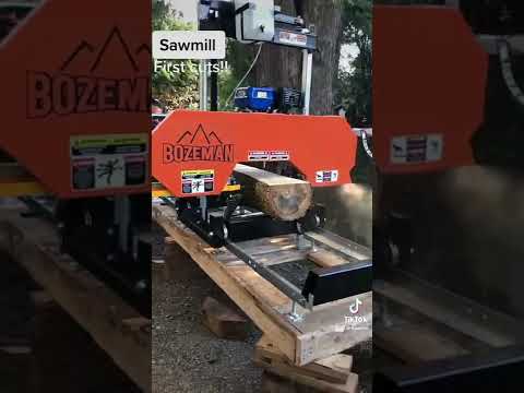 Sawmill assembly and first cuts
