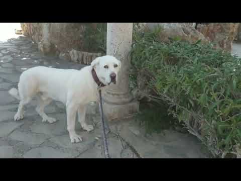 20042023 Akun Kesäpesä 1