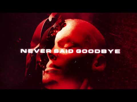Video thumbnail for Never Said Goodbye