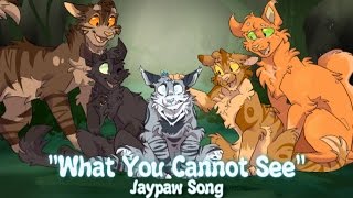 Cover art for What They Can't See "JAYPAW"