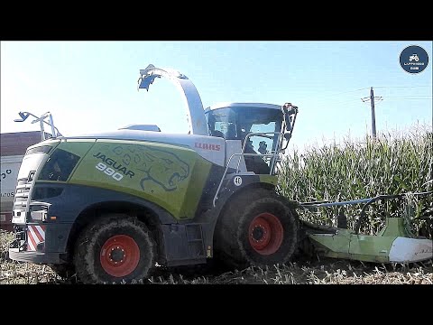 Claas Jaguar 990 Special Edition + Orbis 750 - Agricola Sozzi - Insilato mais 2022