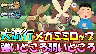 このウサギが流行している理由は！？【ポケモンUSUM】