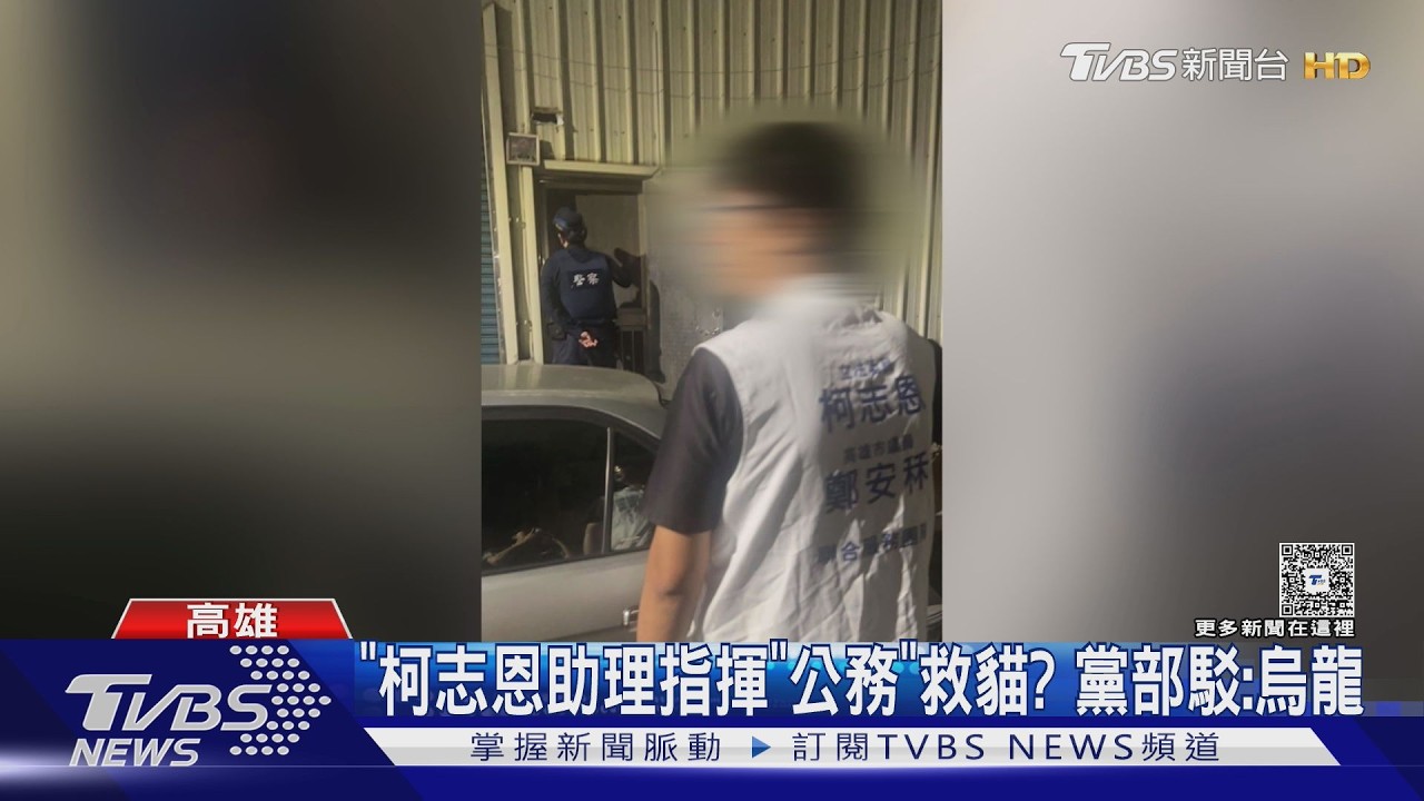 影音／妨害公務？　「柯志恩助理」被控指揮救貓　黨部反控烏龍爆料