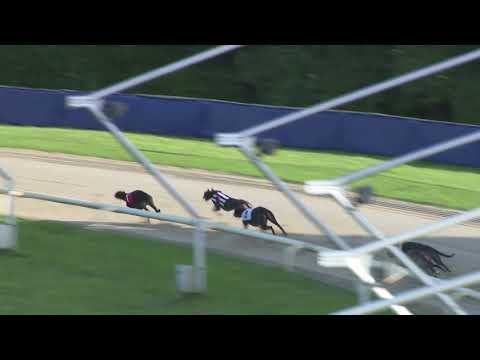 2021 REGENCY - HEAT 2 - T1 KISHLAWN SHAKIRA