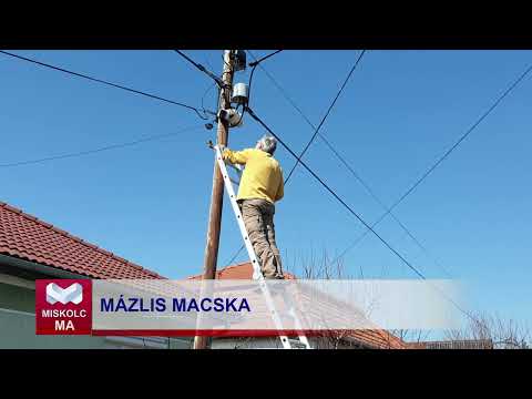 Videó előnézet