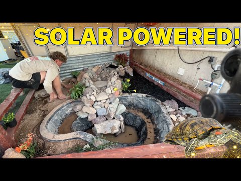 SOLAR POWERED POND BUILD