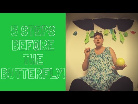 Ball Contact Tutorial: 5 things to learn BEFORE learning the butterfly