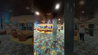 Credo 💙 Savannah bar Msc Orchestra ❤️ #credo #mscorchestra #savannahbar