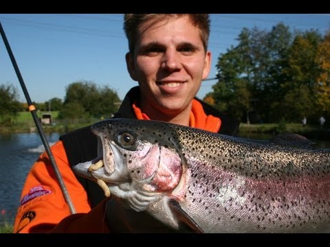 Tremarella Teil 1 - Bleifederkette