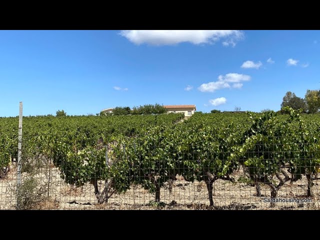Tenuta Sa Spinarba a Soleminis