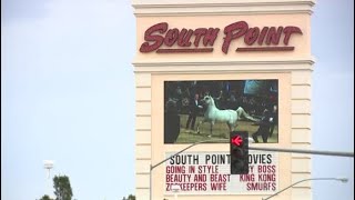 Dennis Bono show returns to the South Point