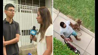 Surquillo: Vecinos hartos de sujeto que sale con sus perros agresivos y sin bozal