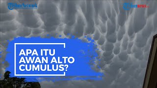 Apa Itu Awan Alto Cumulus? Ini Pengertian dan Proses Terbentuknya