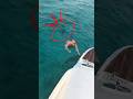 He Had No Idea What Was Beneath Him 😳🦈 #fishing #shark