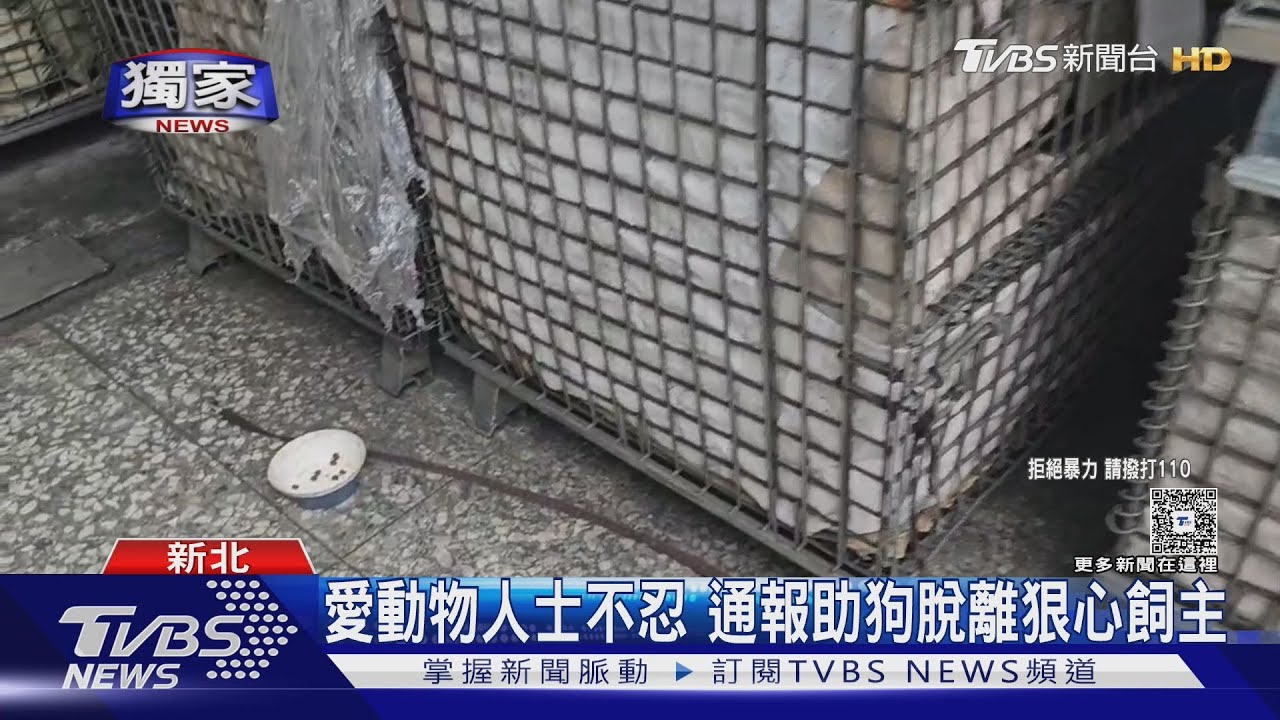 別打啦!工廠業者「狠毆狗狗」 殘忍畫面曝 民眾通報救援