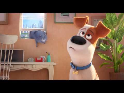 Comme des bêtes / "Les amoureux des chats" VF [Au cinéma le 27 Juillet]