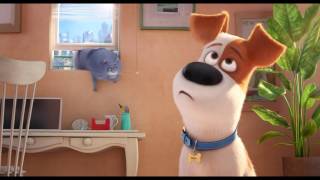 Comme des bêtes / "Les amoureux des chats" VF [Au cinéma le 27 Juillet]
