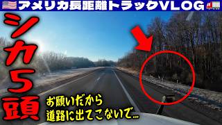 【シカ5頭】お願いだから道路に出てこないで！ノースキャロライナで配達！トレーラーのウォッシュアウト！2026年1月4日 | 🇺🇸アメリカ長距離トラックVLOG🚚
