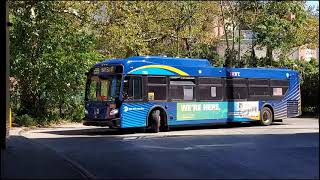 MTA: Bus Action at Coney Island (B64, D99, B82, B74)