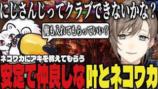 【まとめ】にじさんじのクラブがあったら入りたいネコワカ、安定で仲良しな叶とネコワカｗｗ【切り抜き/叶/にじさんじ/ネコと和解せよ/スト6】