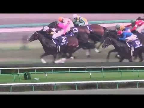 2015スプリンターズS SprintersStakes ストレートガール Straight Girl