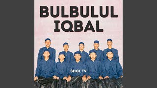 Download lagu Bulbulul Iqbal mp3