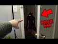 (HE'S REAL!!) DO NOT CALL BOOGIEMAN AT 3 AM!! (SCARY)