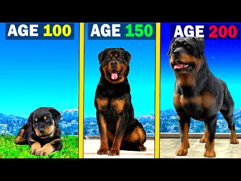 Surviving 200 YEARS As CHOP in GTA 5 (GTA 5 MODS)