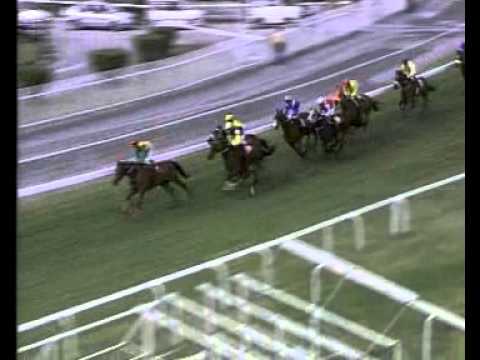 SMS PARIAZ VIDEO MEETING 35 RACE 6-2013