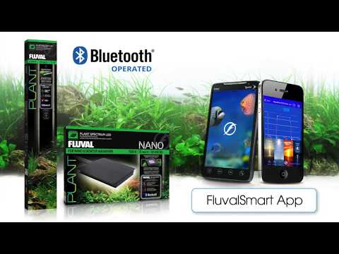 Manufacturer video - Instructions for the FluvalSmart App (EN)