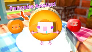 Pancake Axolotl is So Fluffy😍😍😍 & compilation